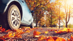 Herbst - Auto auf Landstraße